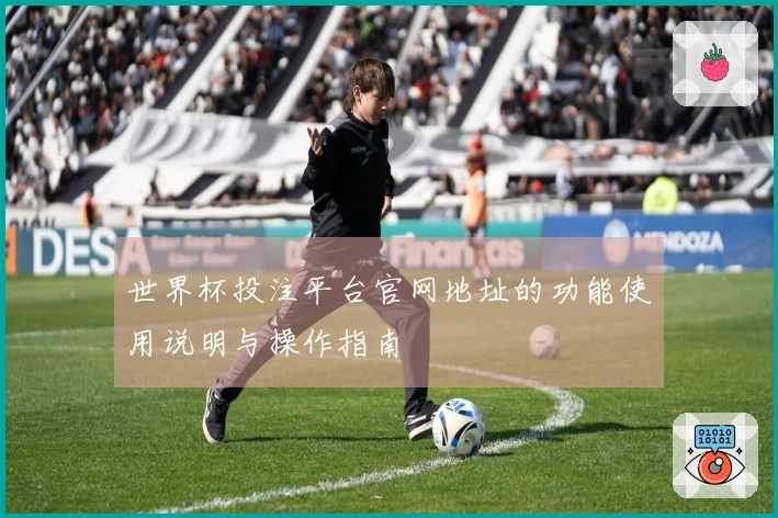 世界杯投注平台官网地址的功能使用说明与操作指南