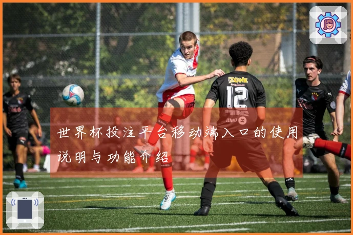 世界杯投注平台移动端入口的使用说明与功能介绍