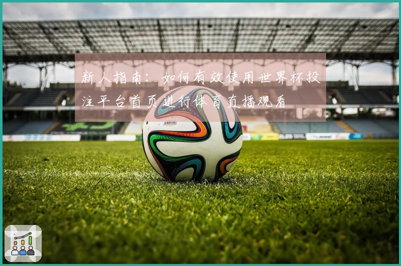 新人指南：如何有效使用世界杯投注平台首页进行体育直播观看