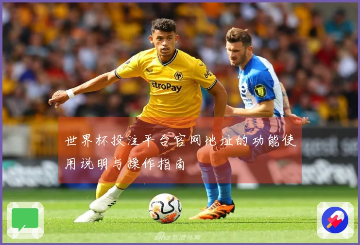 世界杯投注平台官网地址的功能使用说明与操作指南