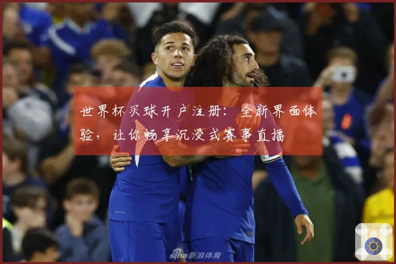 世界杯买球开户注册：全新界面体验，让你畅享沉浸式赛事直播